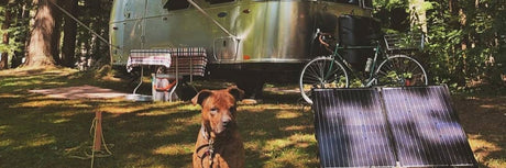 Do Solar Panels Work In the Shade?