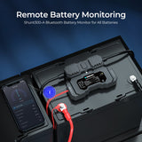 Shunt de batterie RENOGY 300 remis à neuf 