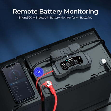 RENOGY  Battery Shunt 300