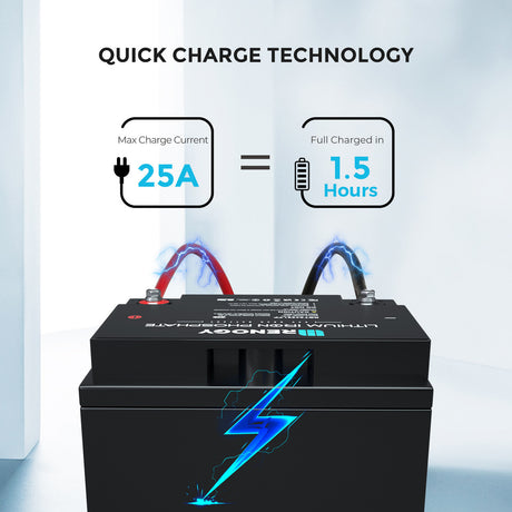 24V 25Ah Lithium Iron Phosphate Battery
