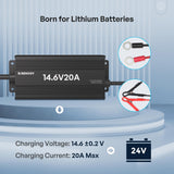 12V 20A AC-To-DC LFP Portable Battery Charger