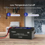 Renogy Core - Batterie lithium fer phosphate 24 V 200 Ah à décharge profonde avec fonction auto-chauffante 