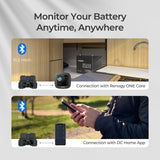 Shunt de batterie RENOGY 300 remis à neuf 
