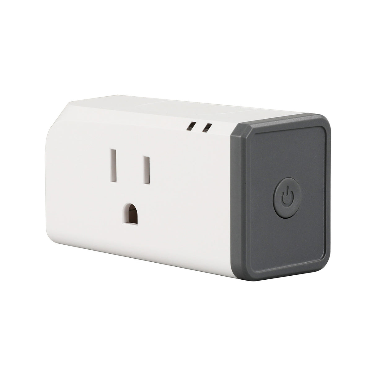 RENOGY ONE Smart Plug