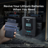 Contrôleur de charge solaire MPPT Renogy Rover Li 30 A