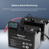 Monitoring Screen for Smart Lithium Battery Series