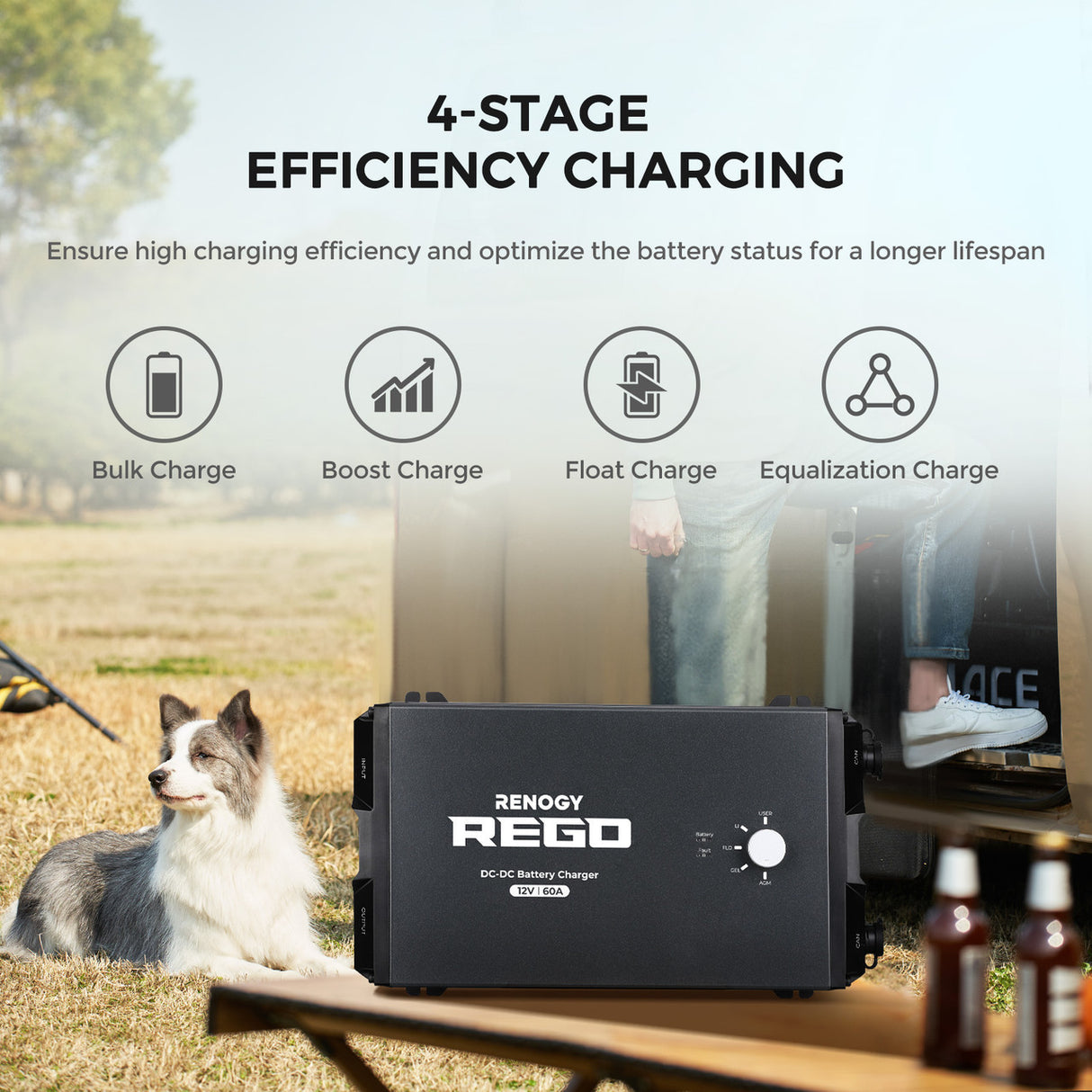 REGO 12V 60A DC-DC Battery Charger