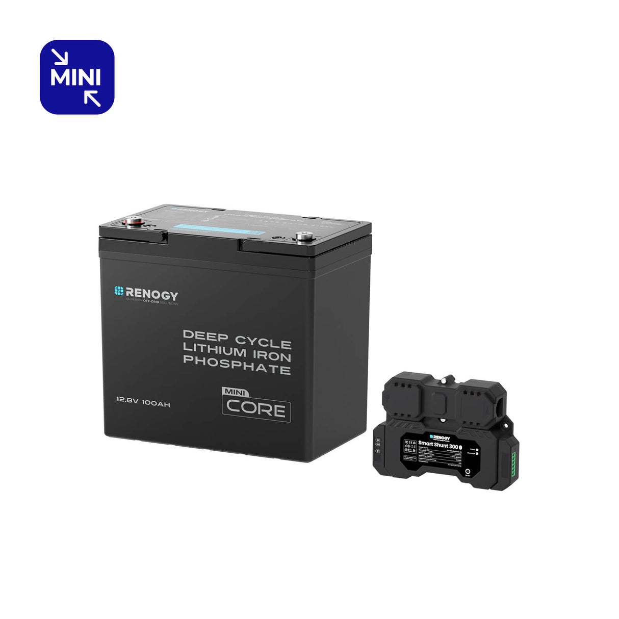 Mini Size 12.8V 100Ah Lithium Iron Phosphate Battery