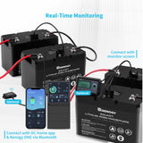 Renogy Smart Lithium-Iron Phosphate Battery 12 Volt 100Ah