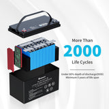 12V 100Ah Bluetooth Smart Lithium Iron Phosphate Battery