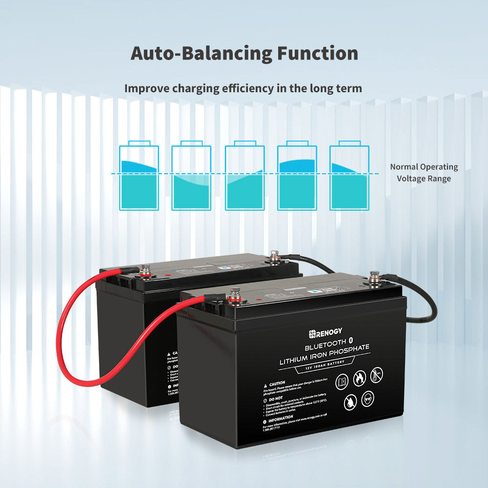 12V 100Ah Bluetooth Smart Lithium Iron Phosphate Battery