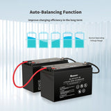 12V 100Ah Bluetooth Smart Lithium Iron Phosphate Battery