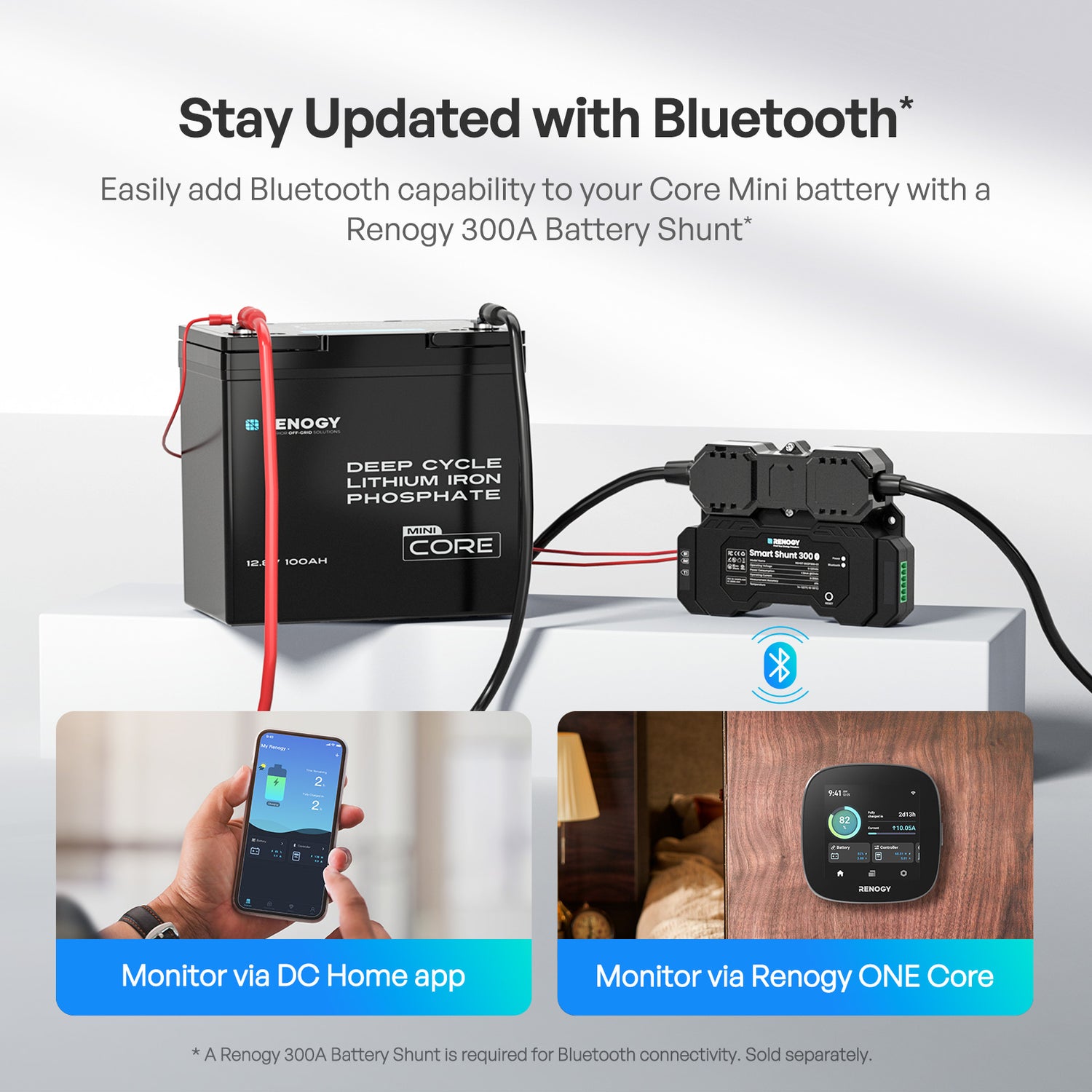 Core Mini - 12V 100Ah/200Ah/300Ah LiFePO4 Battery