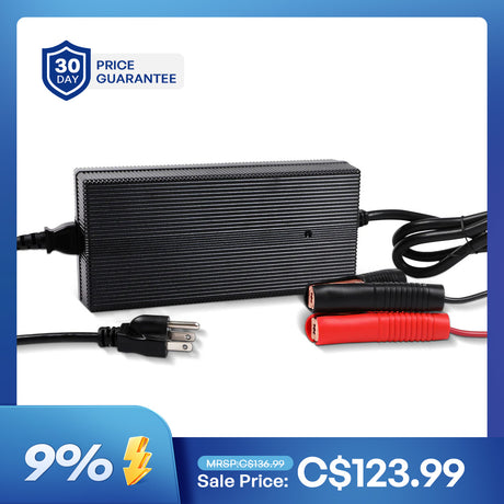 12V 20A AC-To-DC LFP Portable Battery Charger
