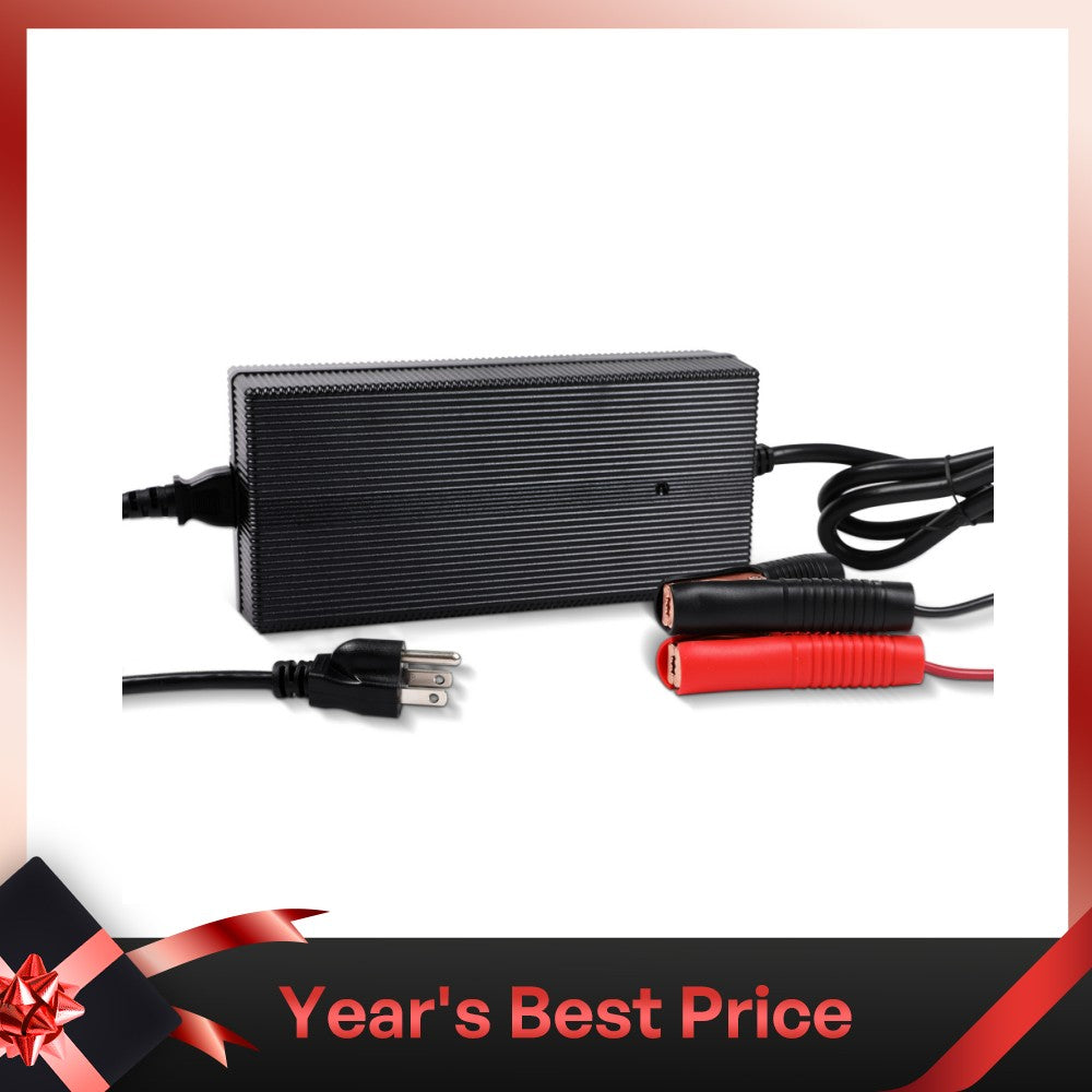 12V 20A AC-To-DC LFP Portable Battery Charger