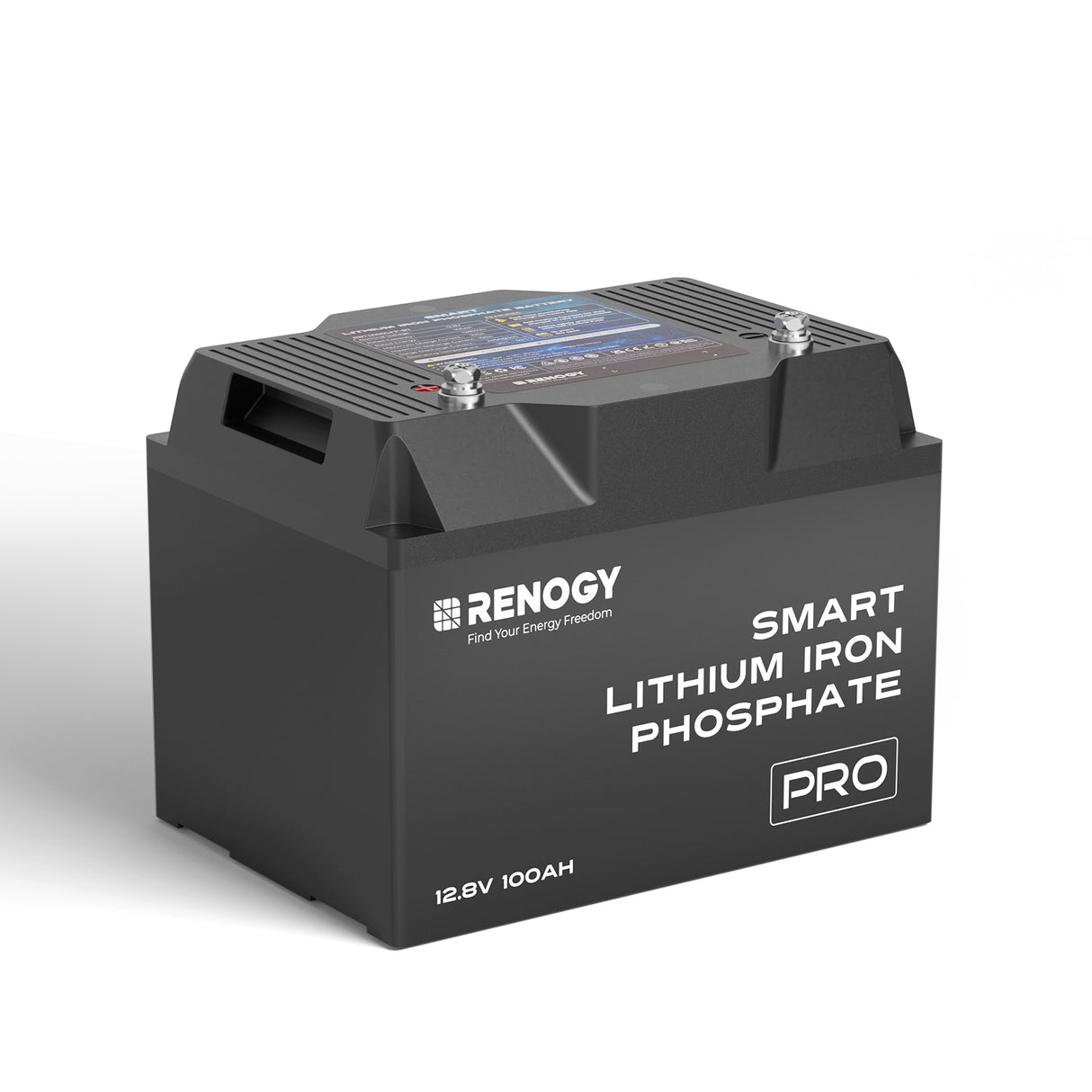 Pro - 12V 100/200Ah Smart Lithium Iron Phosphate Battery w/ Bluetooth & Self-Heating