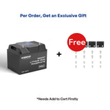 Renogy Pro - Batterie lithium-fer-phosphate intelligente 12 V 100 Ah avec Bluetooth et auto-chauffage