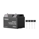 Renogy Pro - Batterie lithium-fer-phosphate intelligente 12 V 100 Ah avec Bluetooth et auto-chauffage