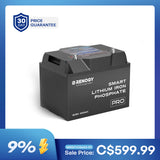 Batterie intelligente lithium fer phosphate 12V 100Ah avec Bluetooth et auto-chauffage | Série Pro