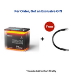 Renogy DuoHeat Tech - Core Mini 12V 100Ah Lithium Iron Phosphate Battery