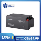 Renogy Pro - Batterie lithium-fer-phosphate intelligente 12 V 200 Ah avec Bluetooth et auto-chauffage