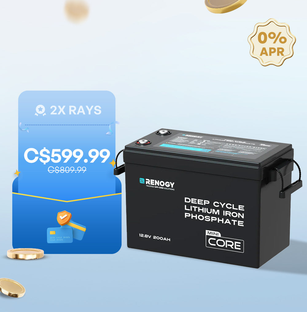 Mini Size 12V 100Ah/200Ah/300Ah LiFePO4 Battery