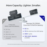 Mini Size 12V 100Ah/200Ah/300Ah LiFePO4 Battery
