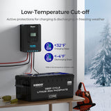 Renogy Core – Batterie lithium-fer-phosphate à décharge profonde 24 V 100 Ah 