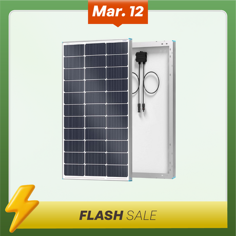 100/195W N-Type Solar Panel