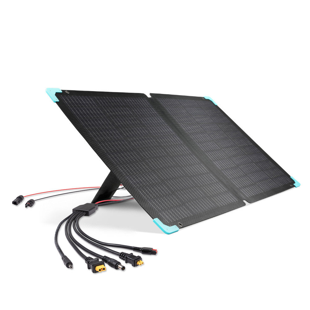 Câble adaptateur solaire Renogy 8 pieds 14 AWG 5 vers 1 
