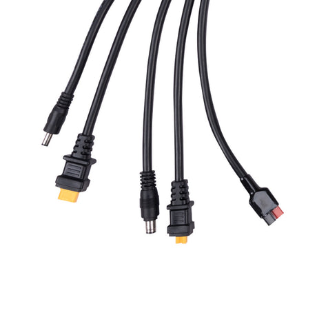 Câble adaptateur solaire Renogy 8 pieds 14 AWG 5 vers 1 