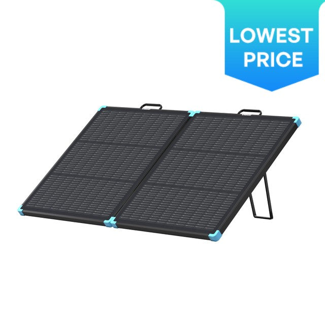 Panneau solaire portable compact Renogy 100 W de type N